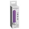 Vibrator Her Rechargeable Bullet
