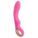 Vibrator Petite