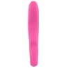 Vibrator Petite