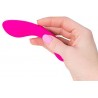 Vibrator The Swan Wand